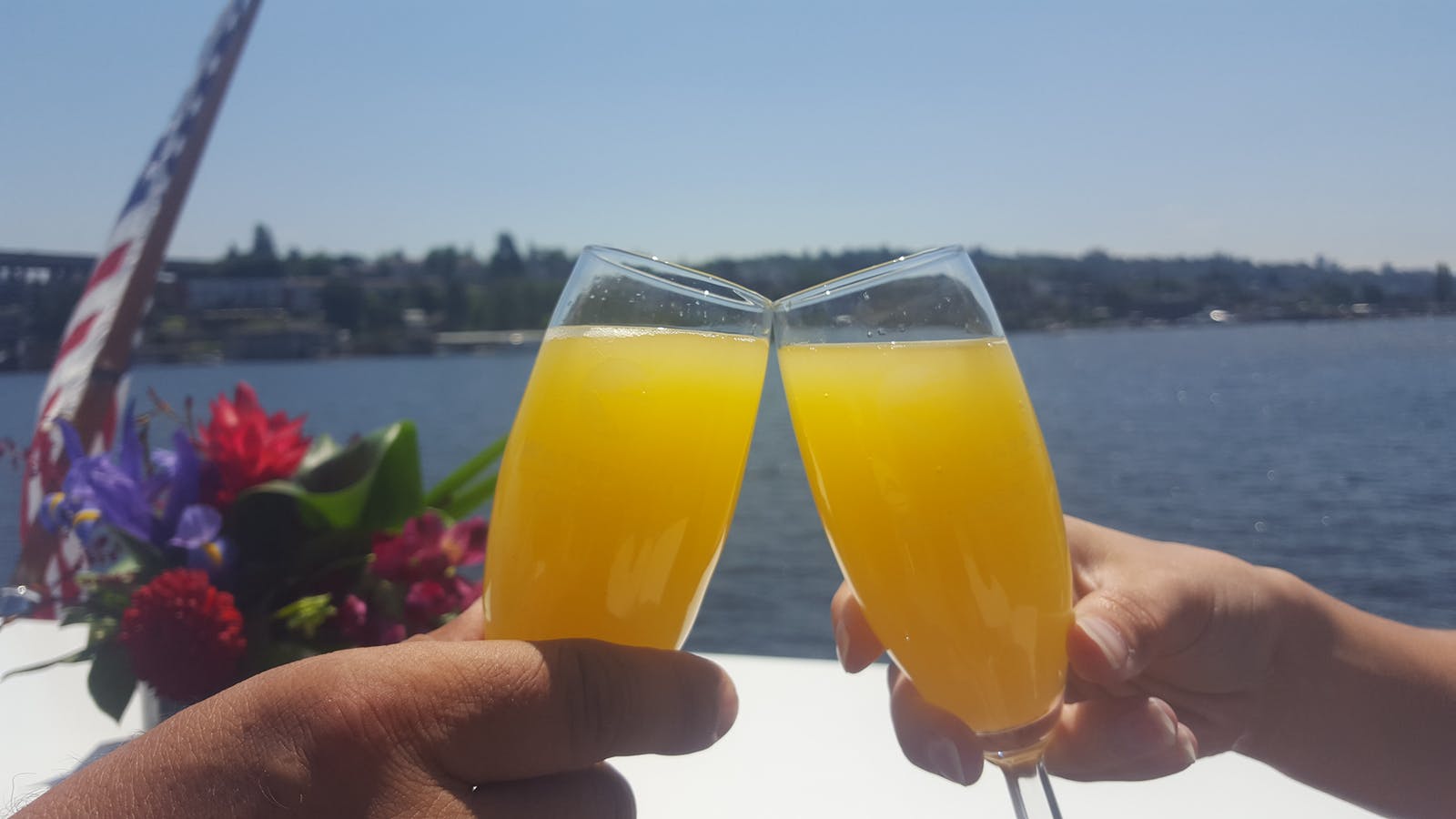 Mimosa1
