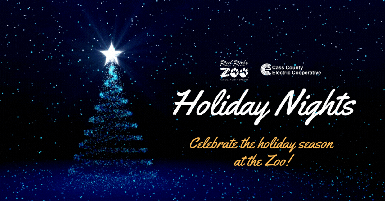 Holiday Nights animated (2)