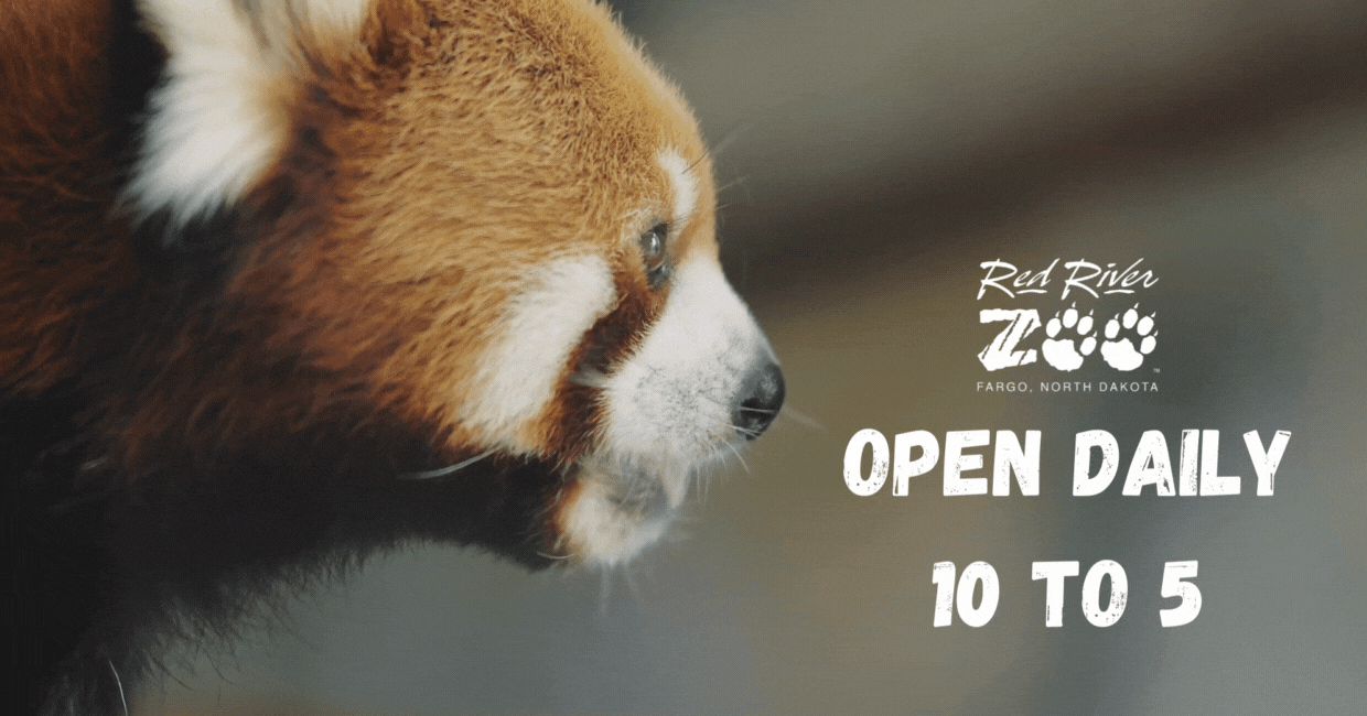 Open Daily (5)