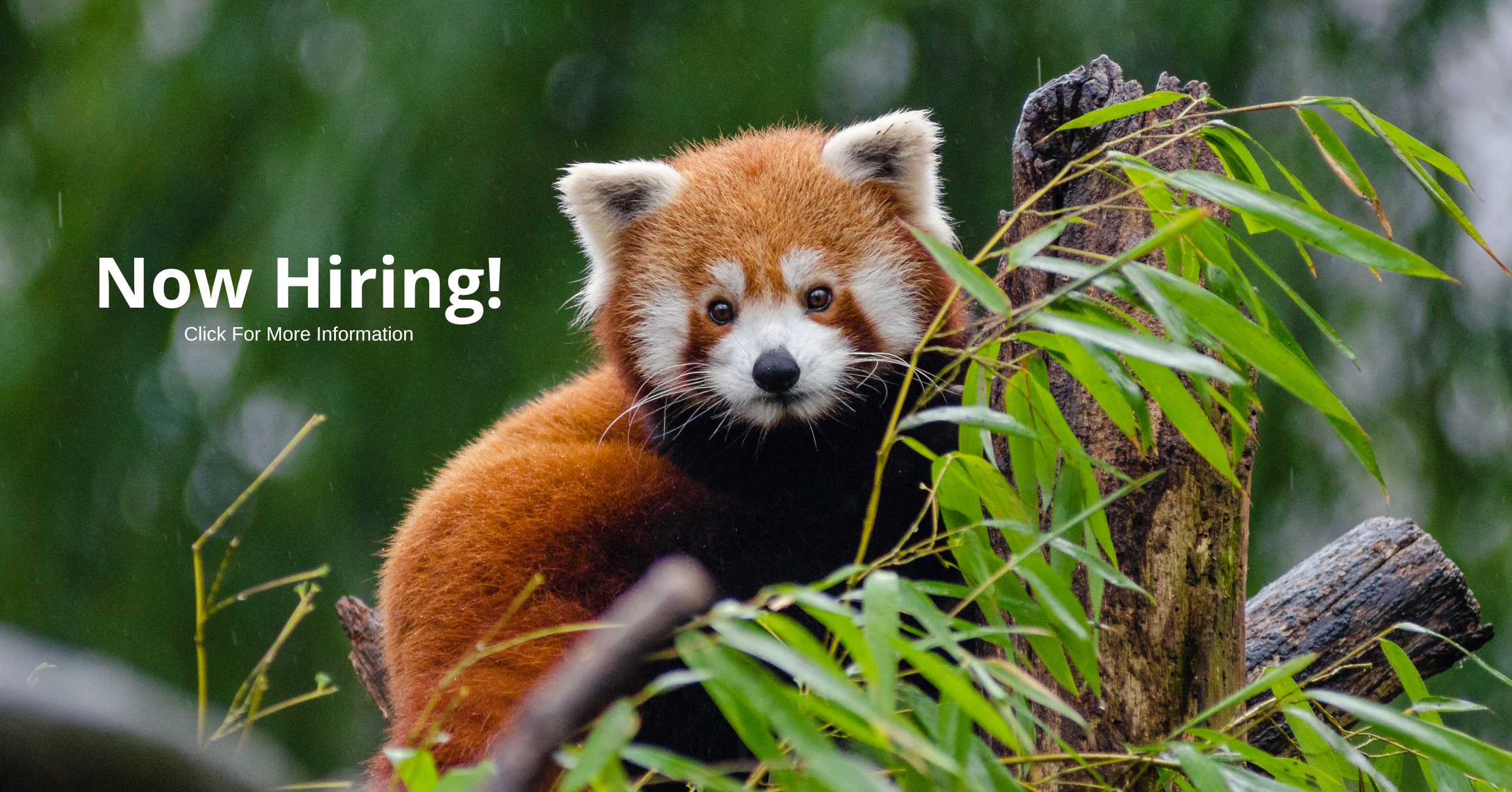 Now Hiring!