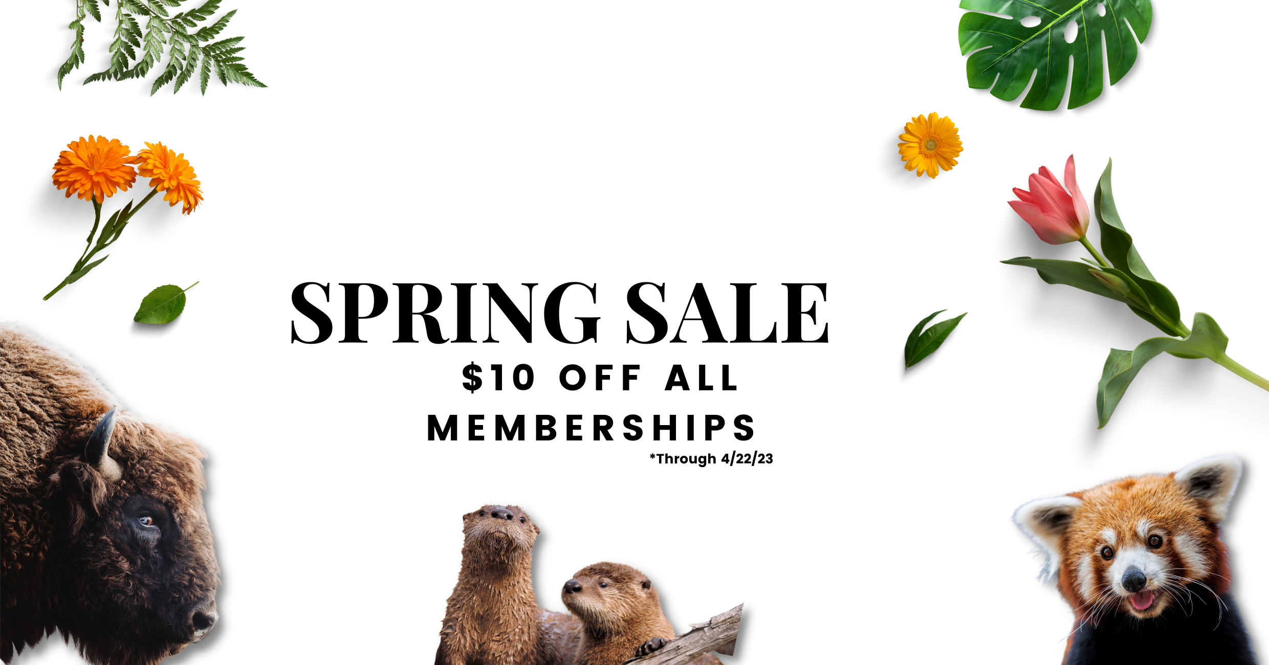 Spring Membership Sale 2023 (1240 × 650 px)