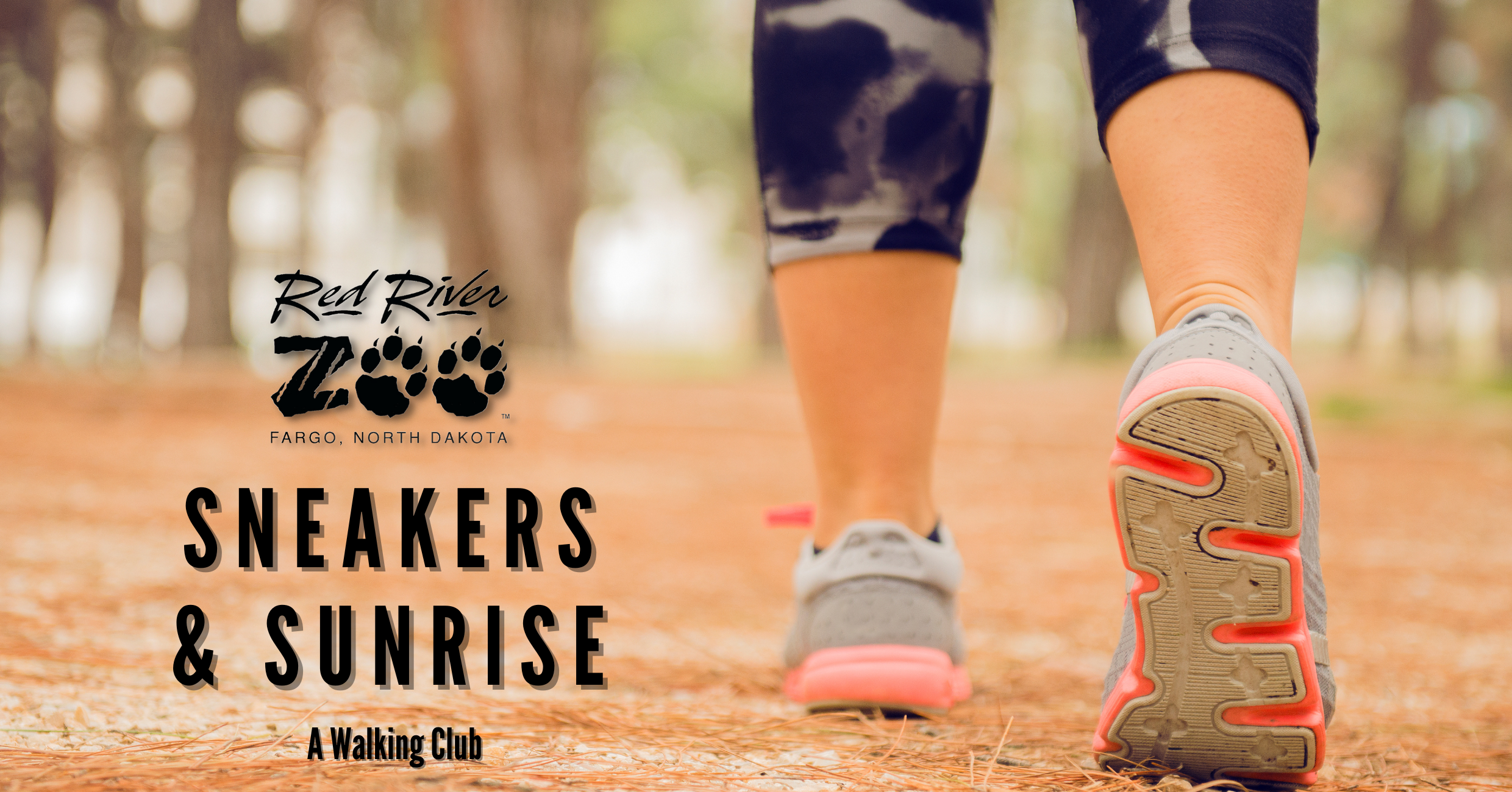 sneakers & sunrise (1240 × 650 px)