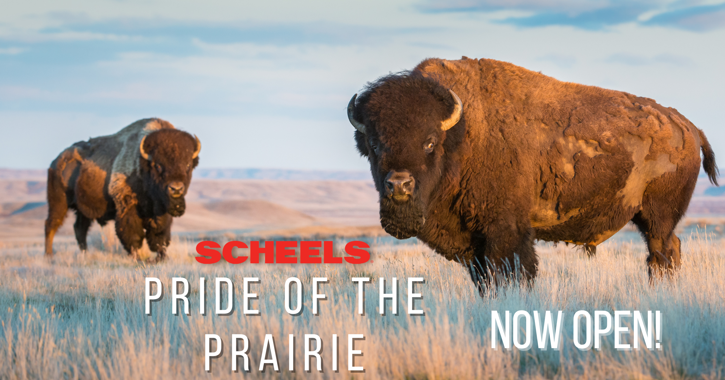 Pride of the Prairie Web Banner