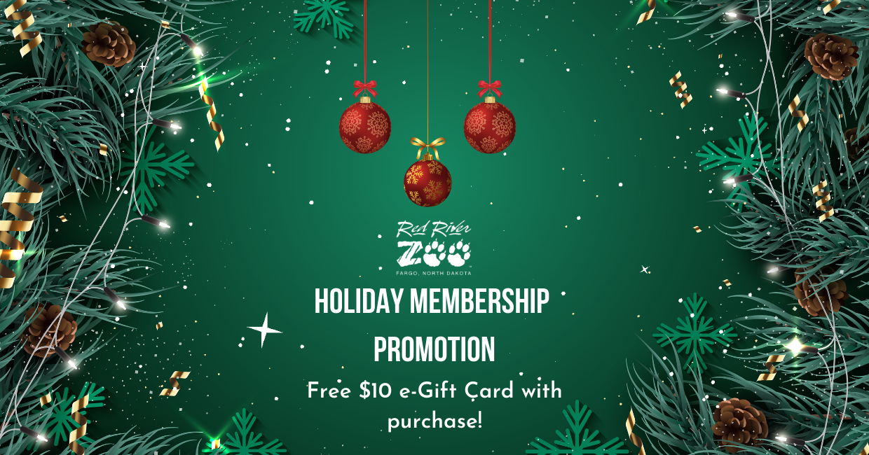 Holiday Membership Promotion