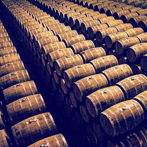 tequila oak barrels