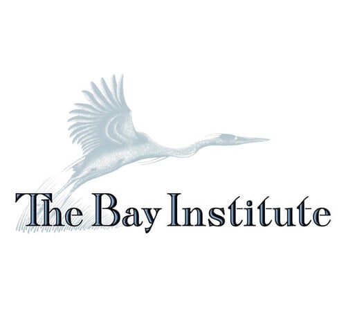 Bay Institute
