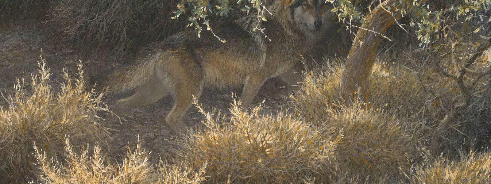 Painting of a wolf among tall brown grass and tree branches