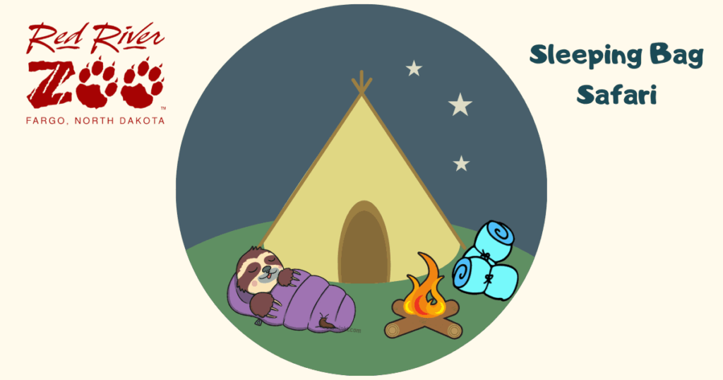 Graphic drawing of Red Panda in a sleeping bag next to a tent and campfire
